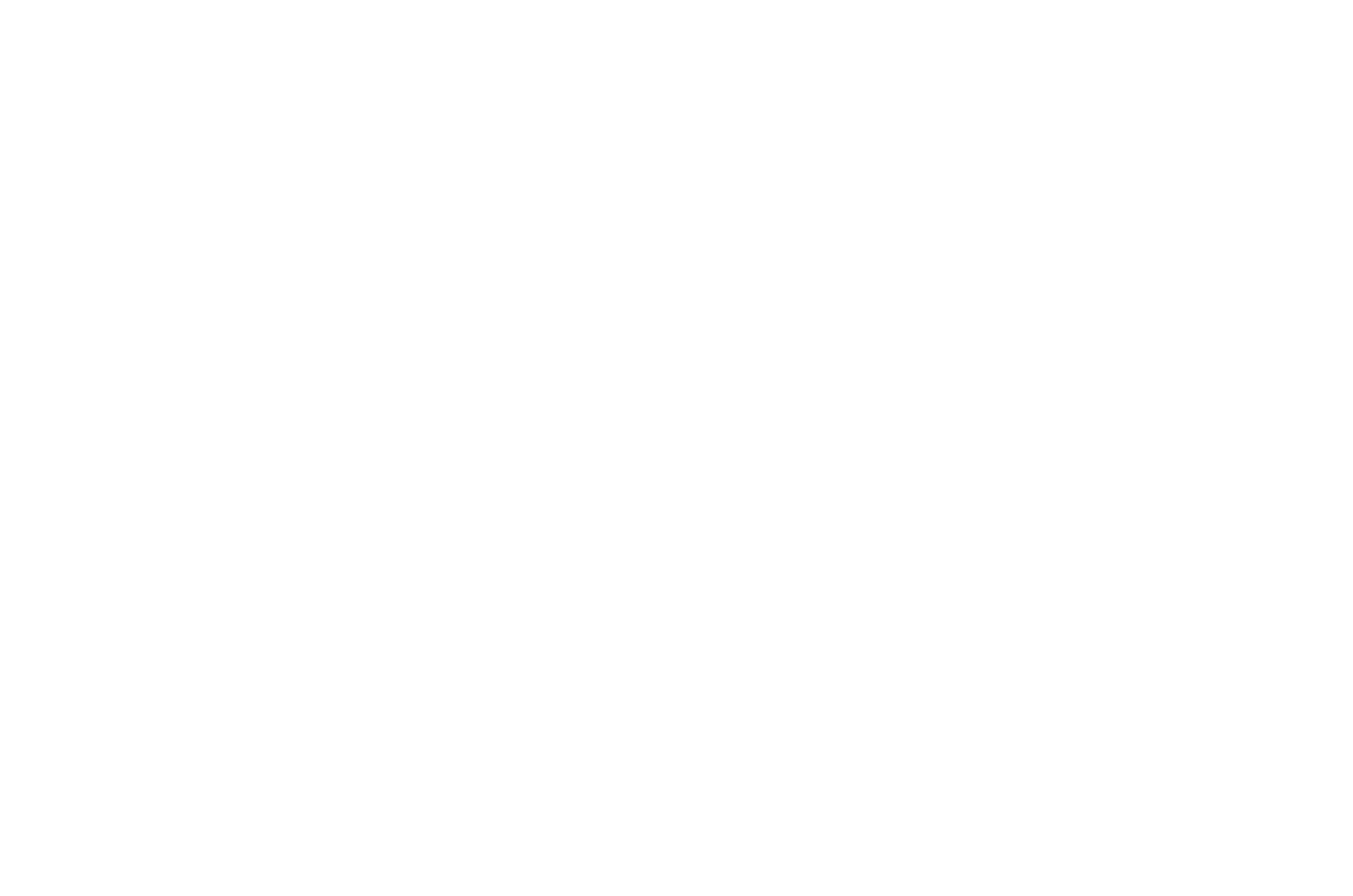 WashWorks Technology